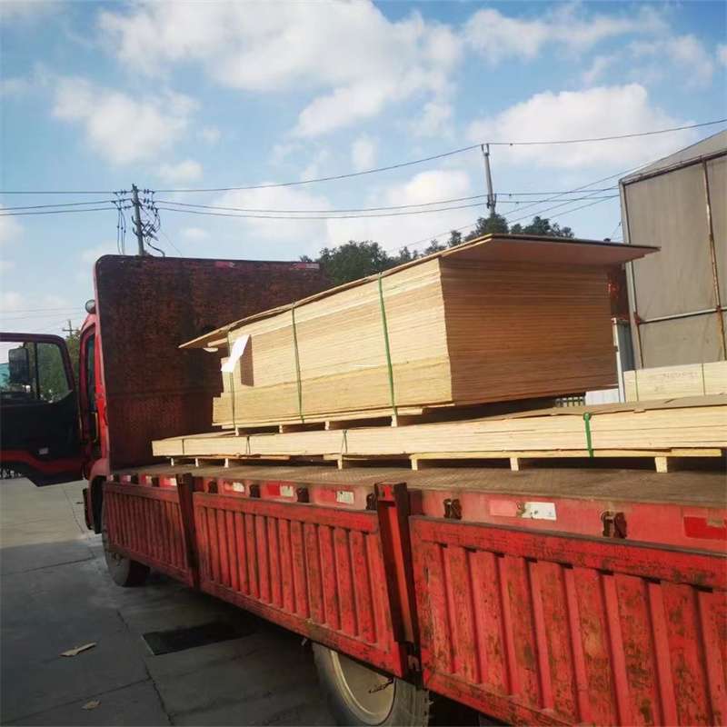 江西抚州乐安县至塔城货运专线，一站式物流服务助您成功
